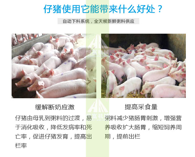 智能喂料機 智能喂(wèi)料機(jī)